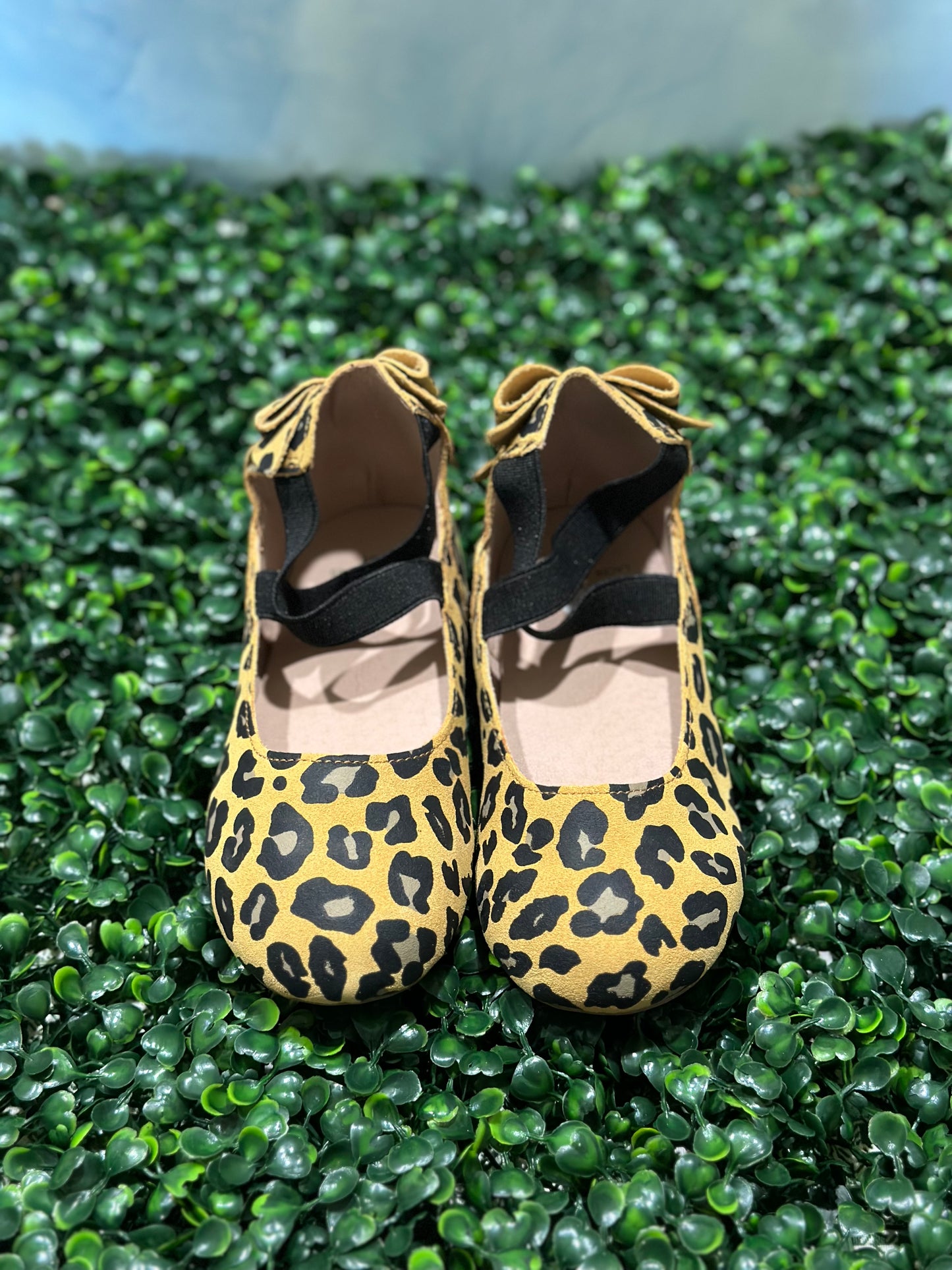 Violet Bow Ballet Cheetah