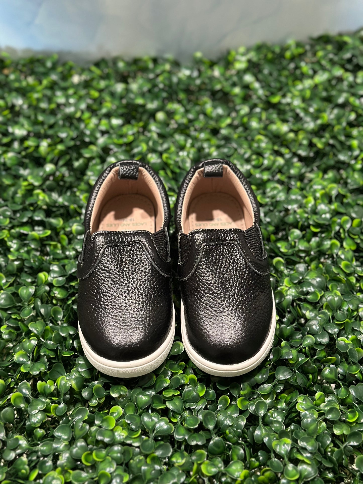Tanner Sneakers Black