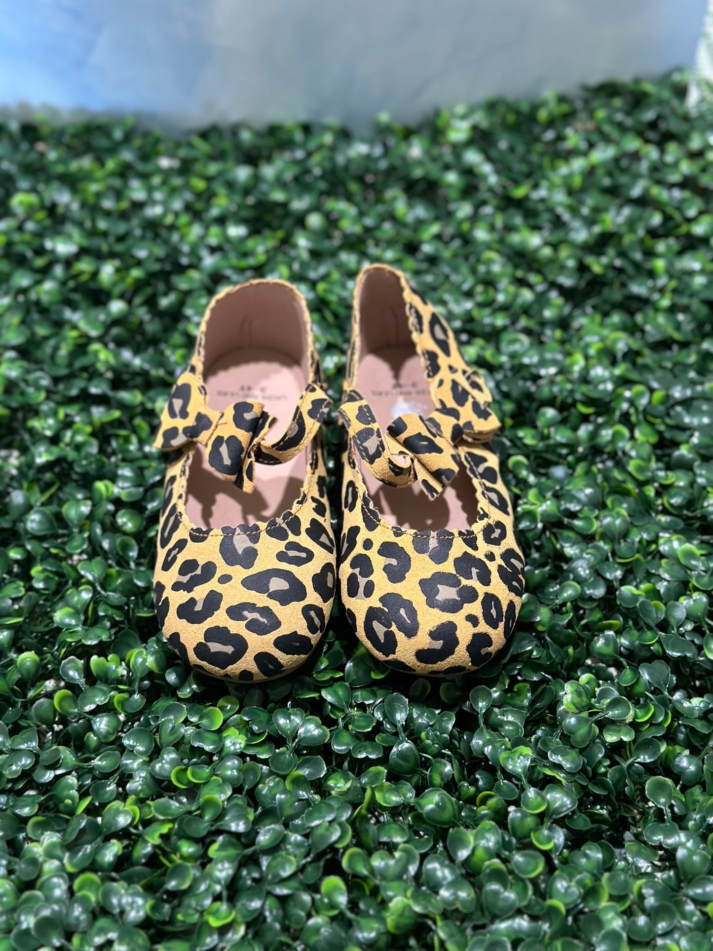 Dahlia Flats Cheetah