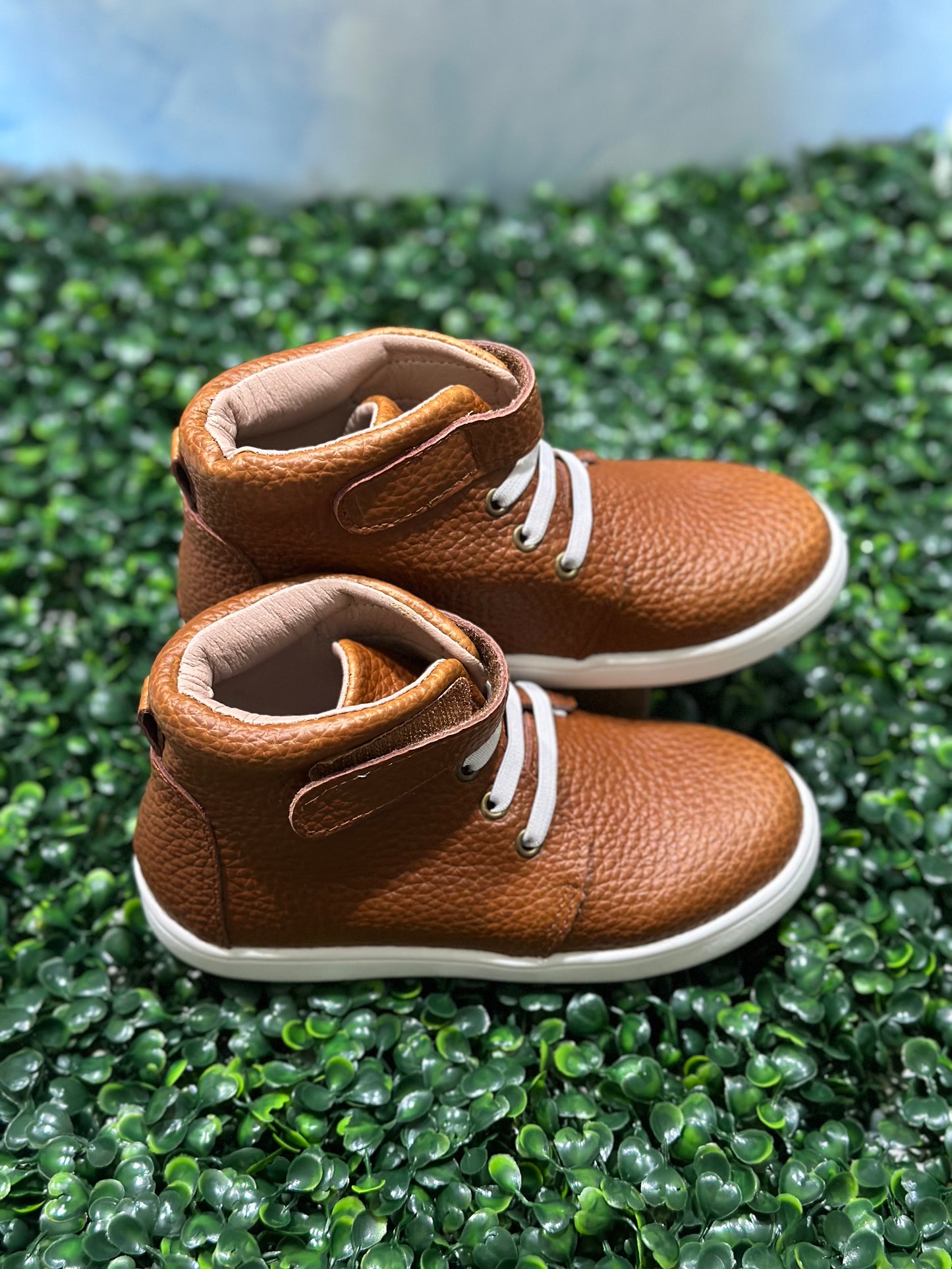 Carter Sneakers Brown