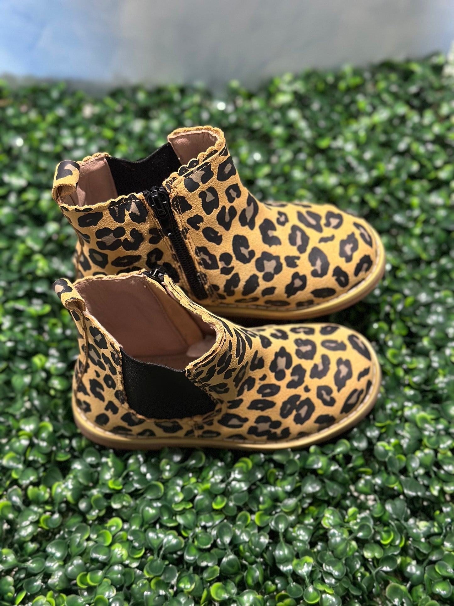 Isabella Boots Cheetah