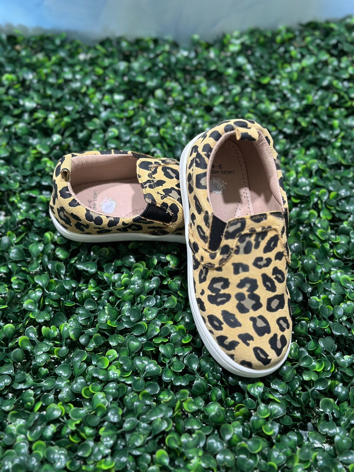 Tanner Sneakers Cheetah